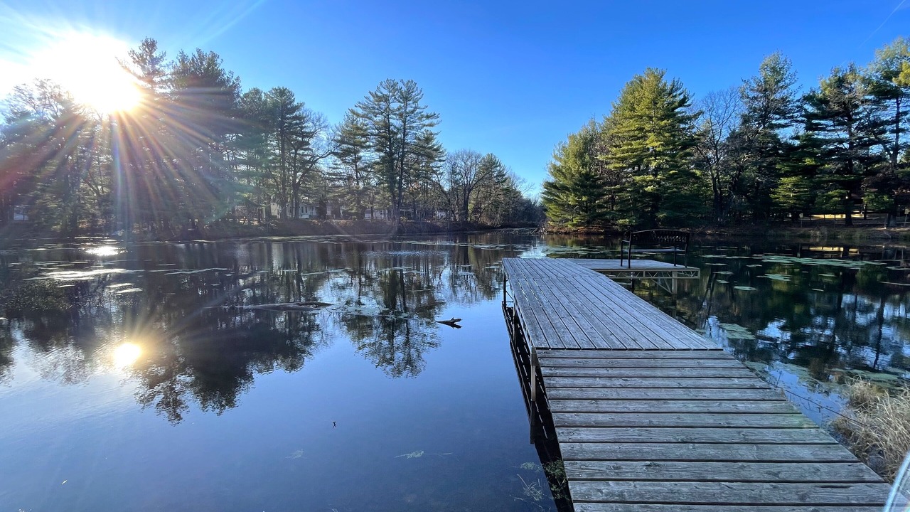 Photo of Others in Spring Brook