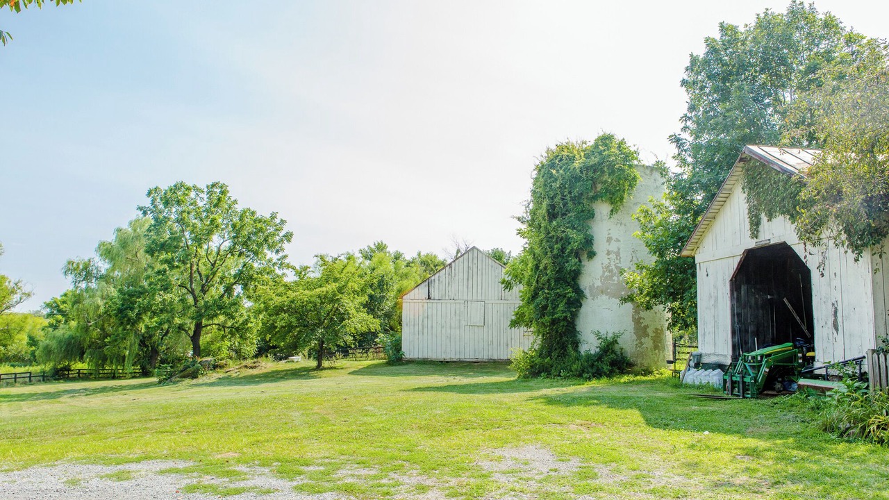Photo of Others in Purcellville