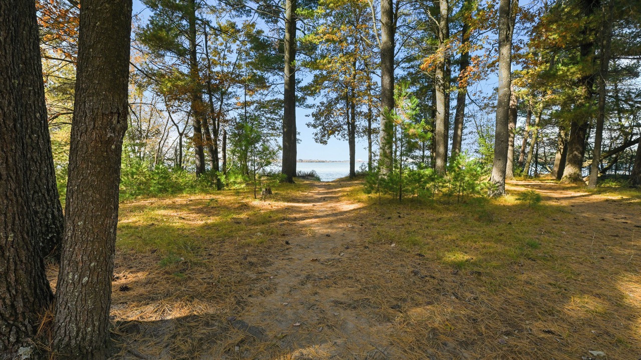 Photo of Outdoor in Friendship