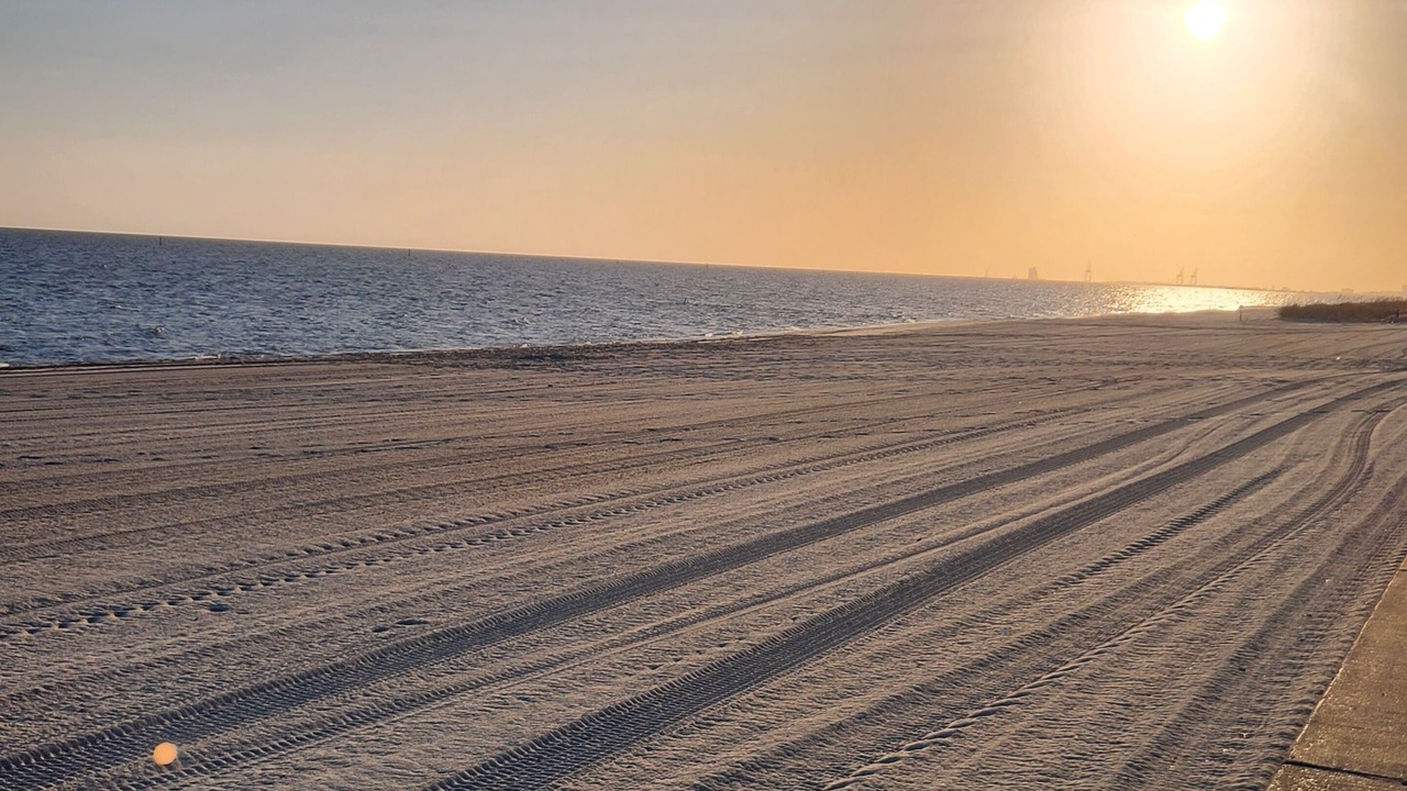 Photo of Others in Gulfport