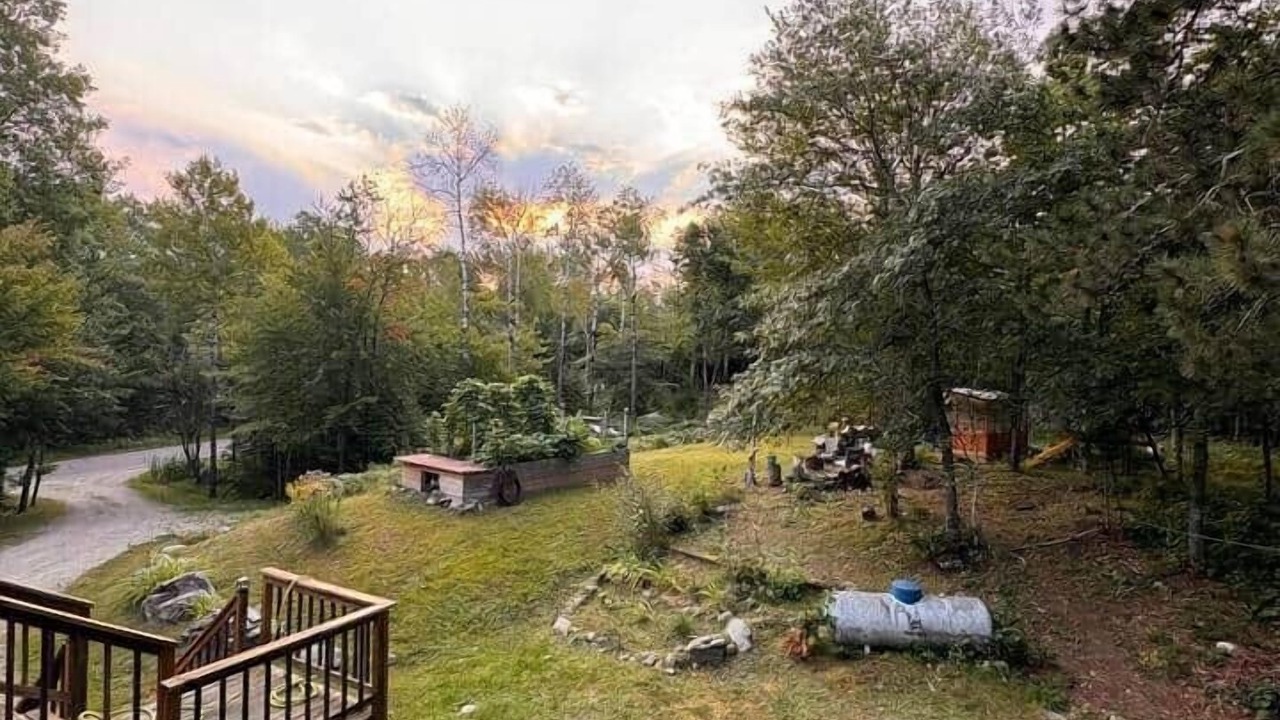 Photo of Outdoor in Cook