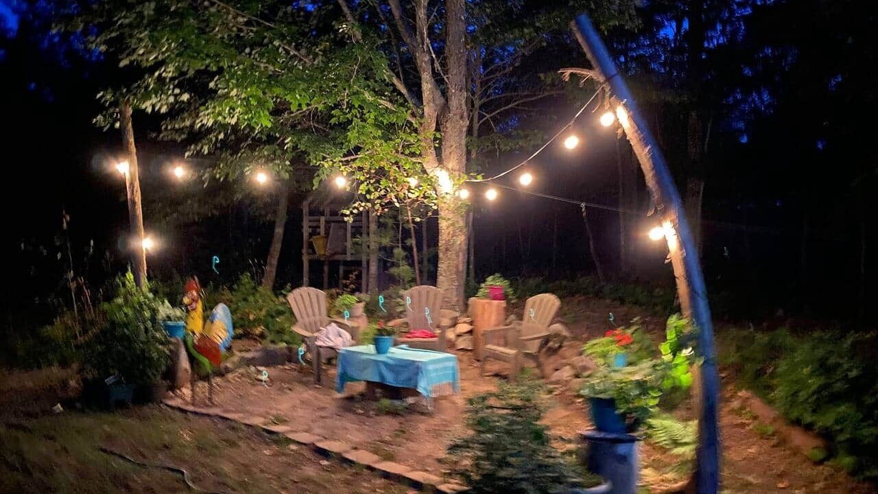 Photo of Outdoor in Cook