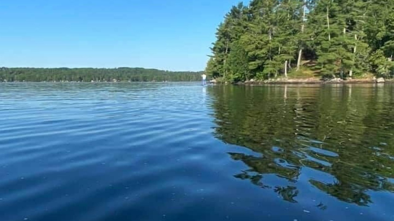 Photo of Outdoor in Cook