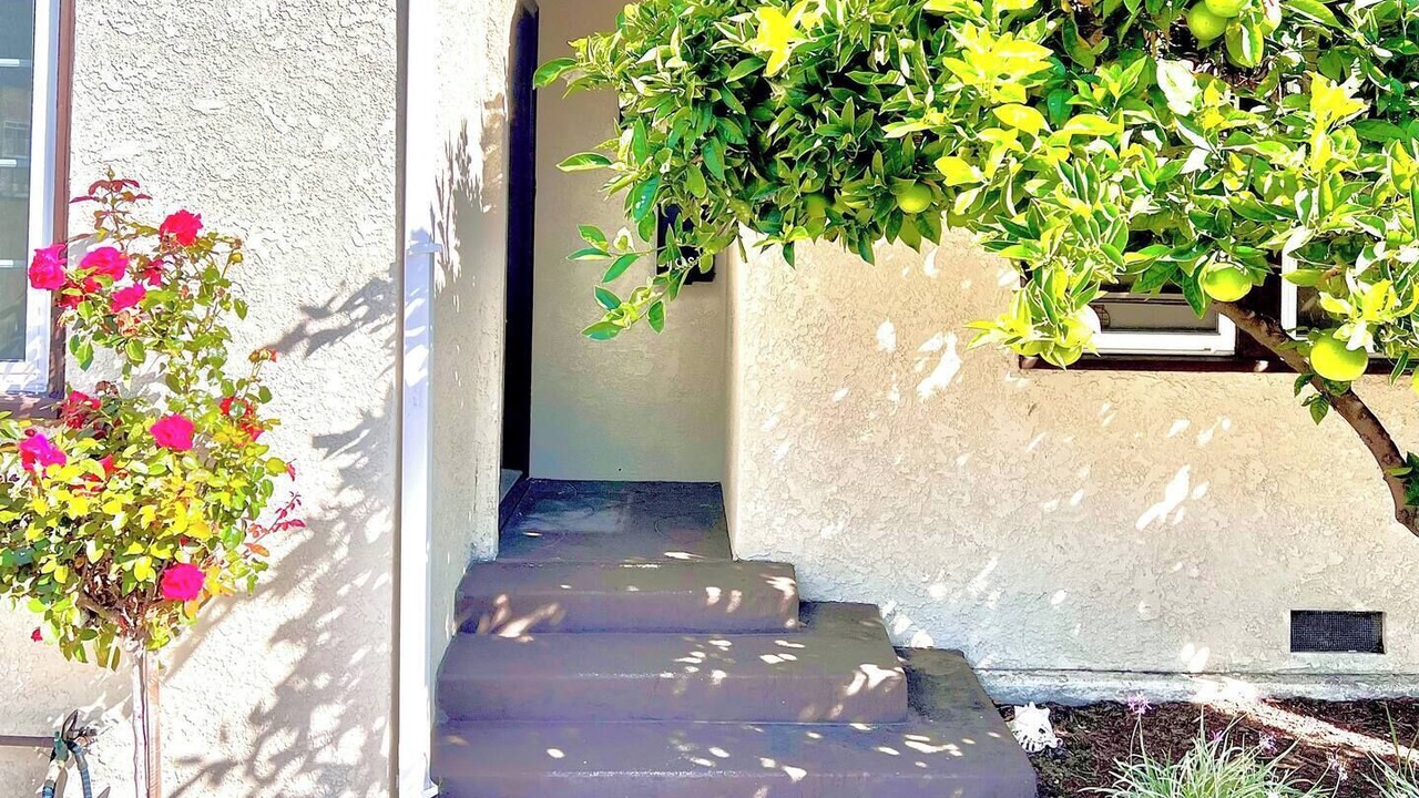 Photo of Outdoor in Eastside
