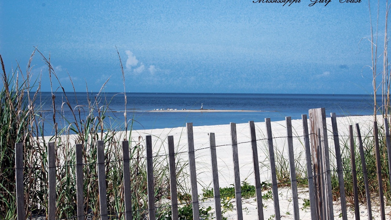 Photo of Others in Biloxi