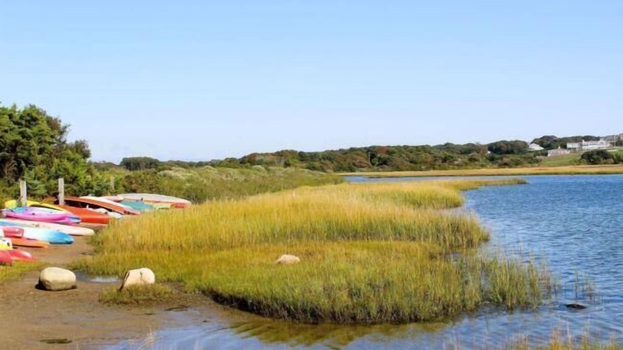 Photo of Others in West Hyannisport