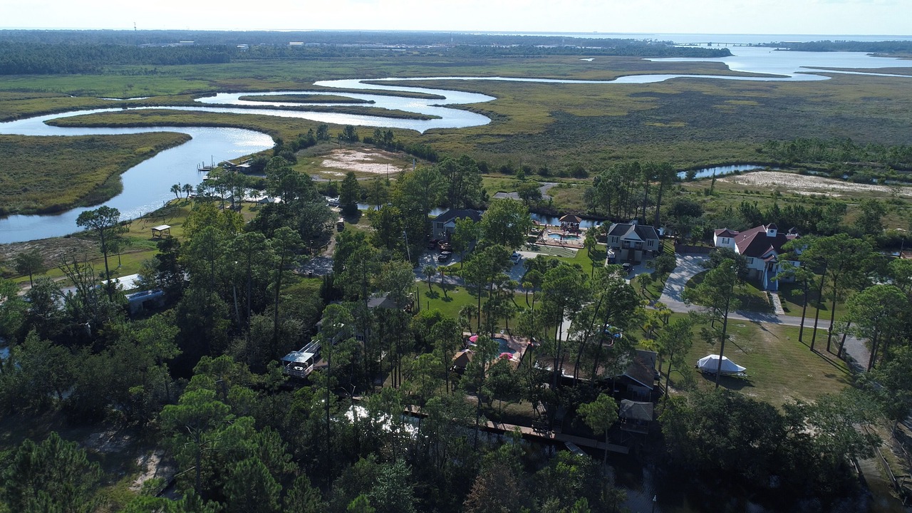 Photo of Outdoor in Pass Christian