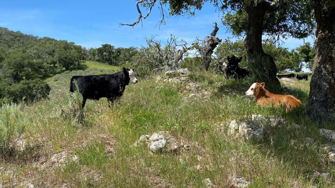 Photo of Others in Santa Barbara County
