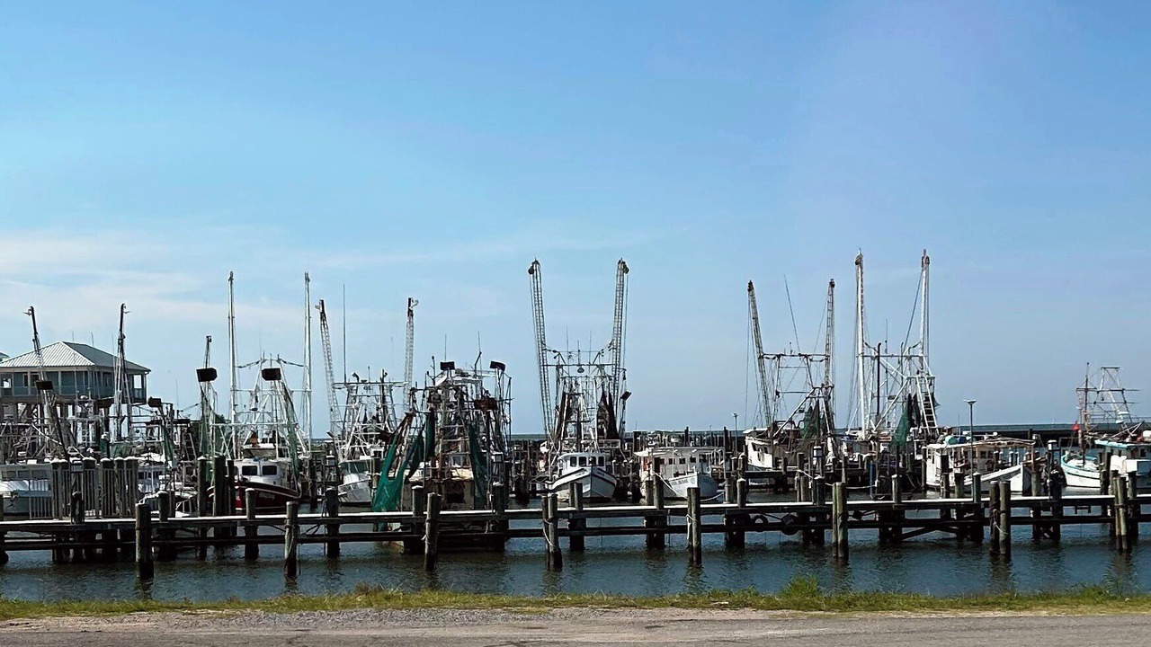 Photo of Others in Henderson Point