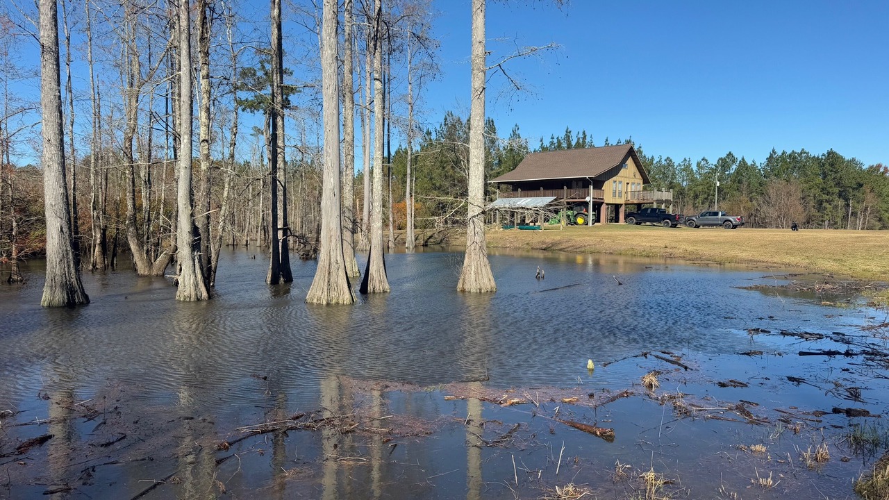 Photo of Others in Lucedale