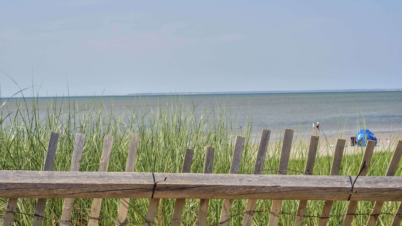Photo of Others in Brewster