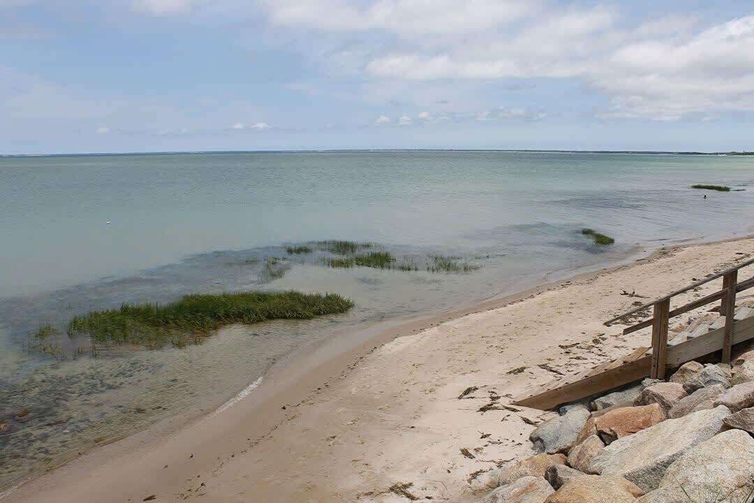 Photo of Others in Brewster