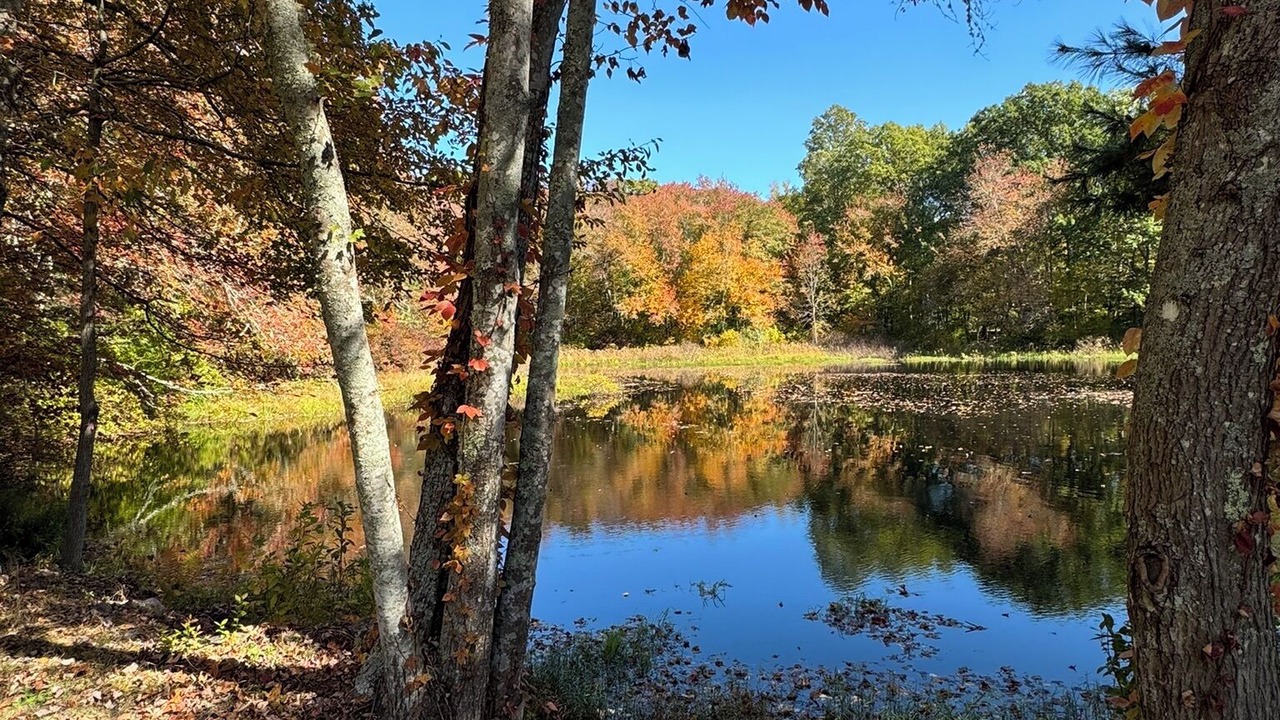 Photo of Others in Rochester