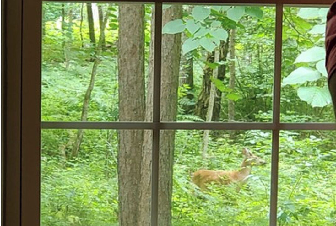 Photo of Others in Nisswa