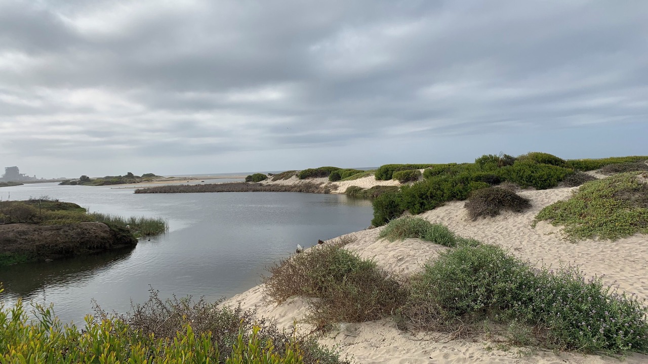 Photo of Others in Port Hueneme
