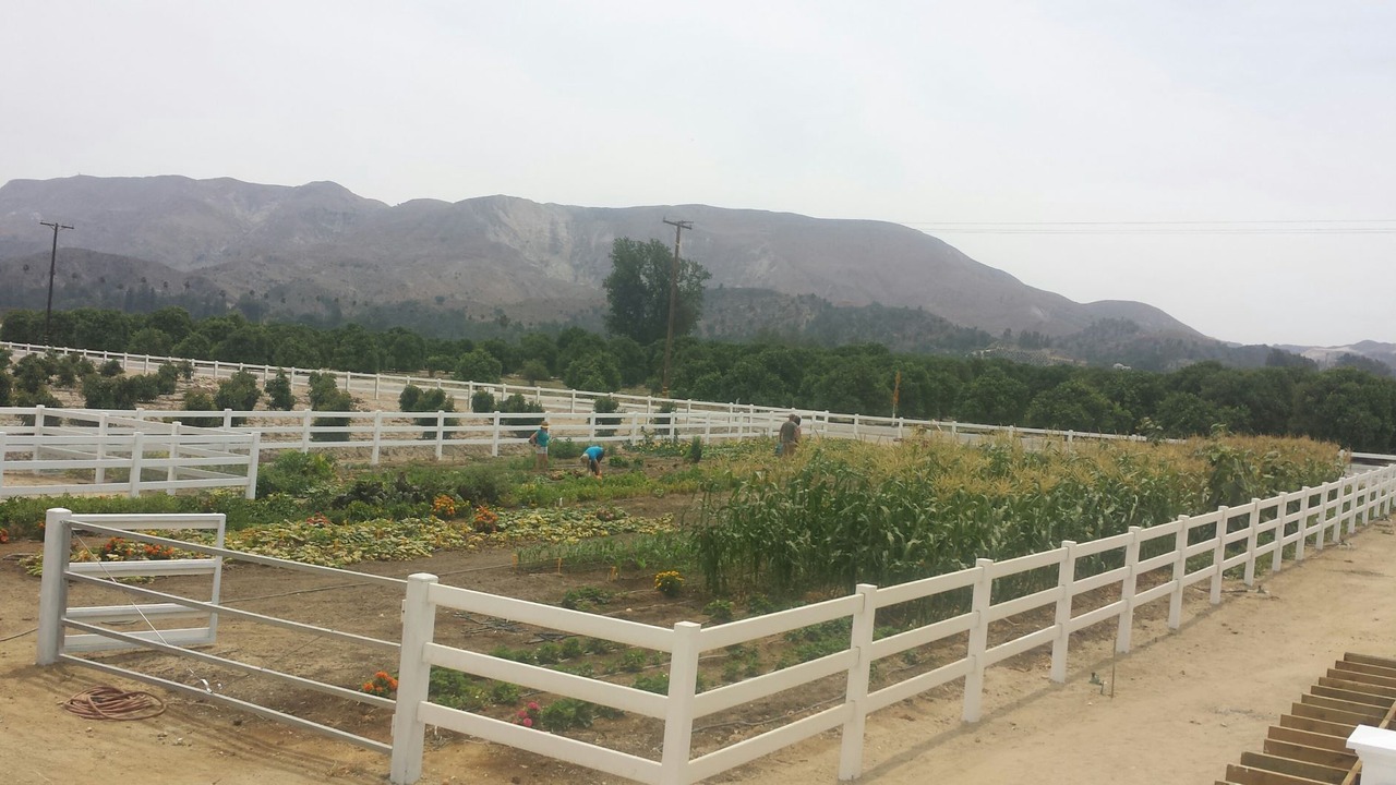 Photo of Others in Fillmore
