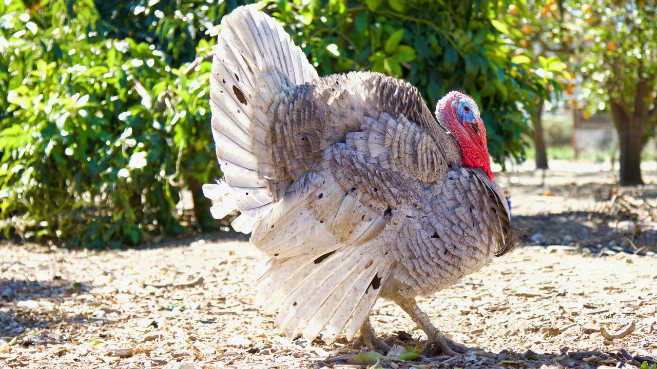 Photo of Others in Fillmore