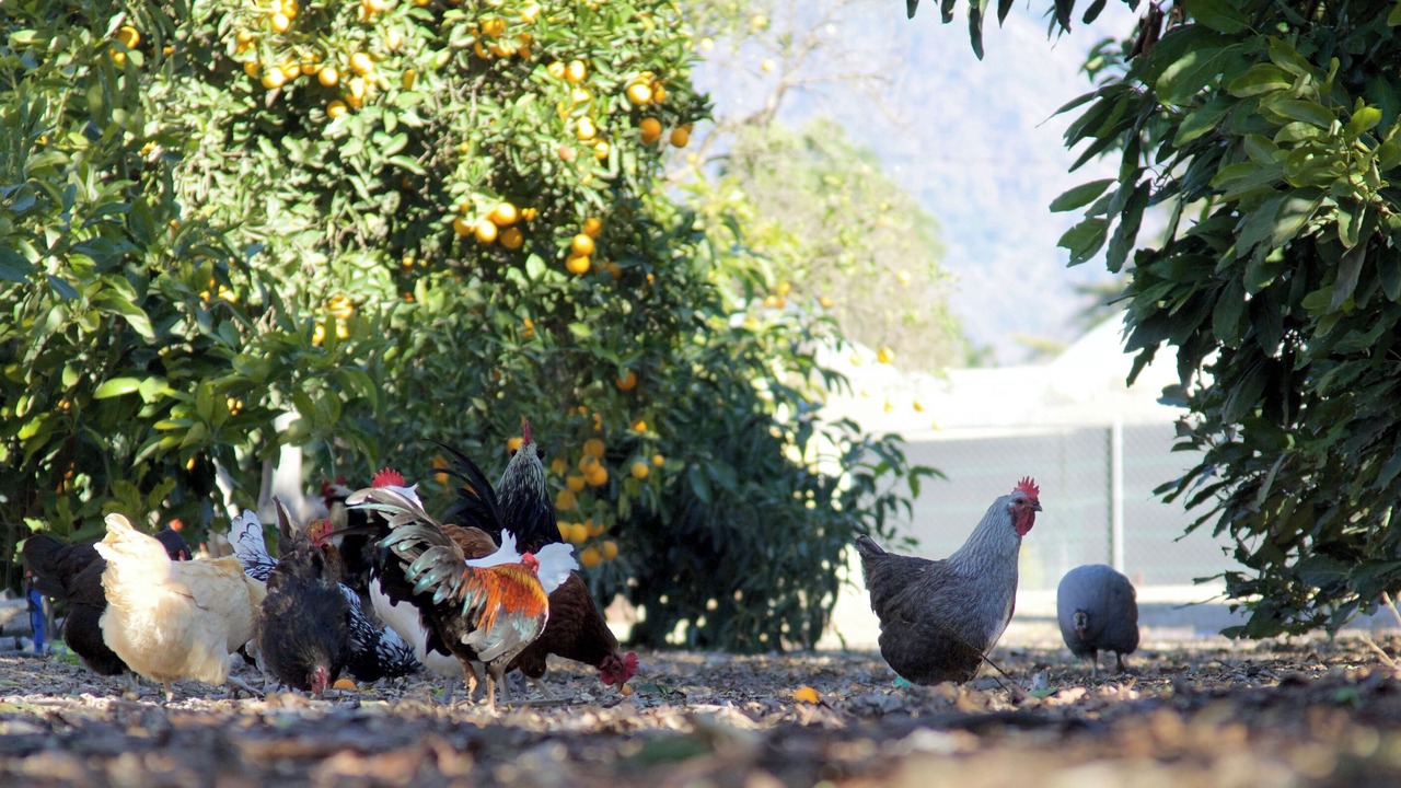 Photo of Others in Fillmore