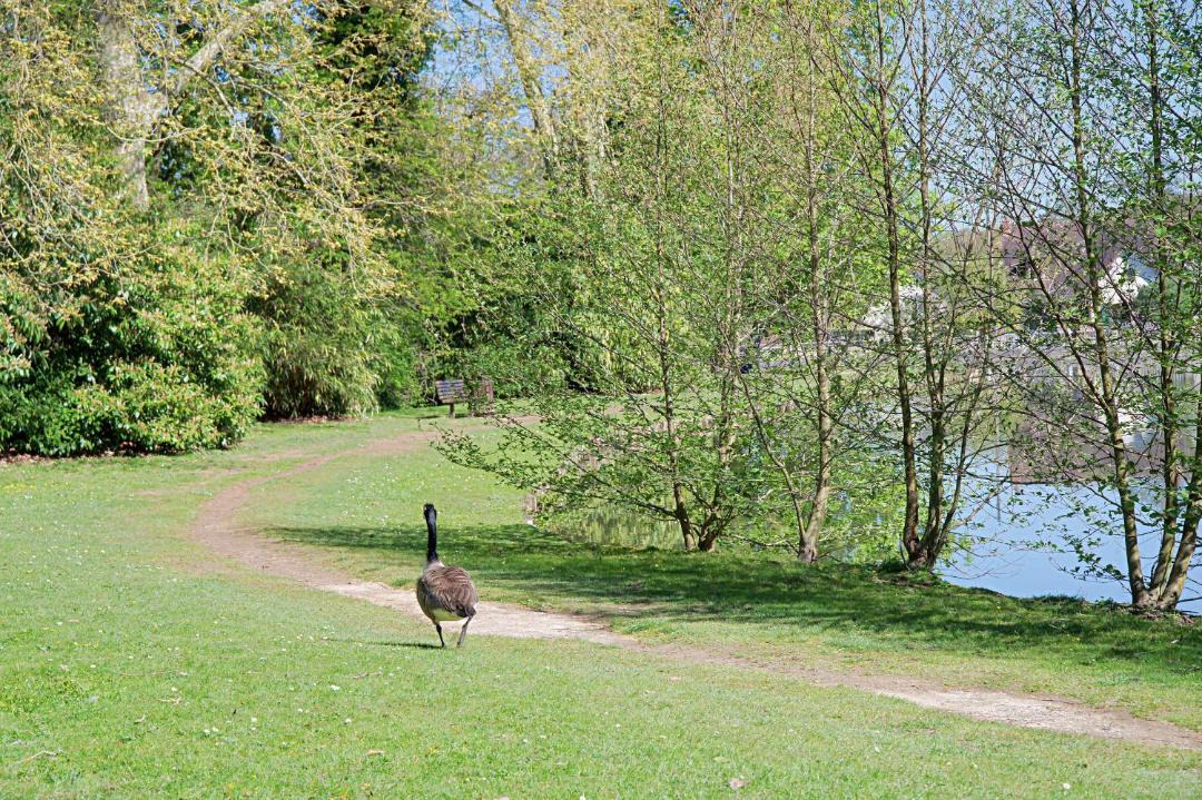Photo of Others in Saint-Remy-les-Chevreuse