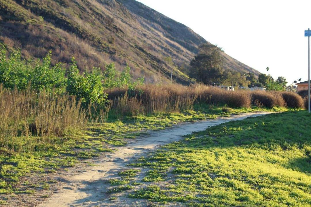 Photo of Others in Ventura