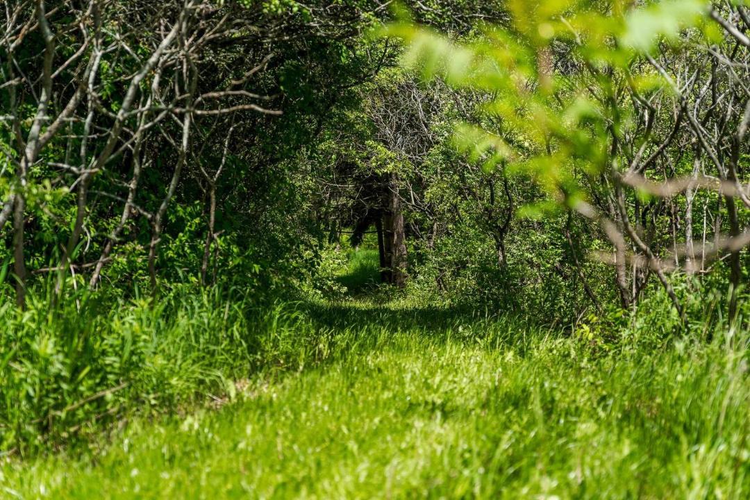 Photo of Others in Greater Napanee
