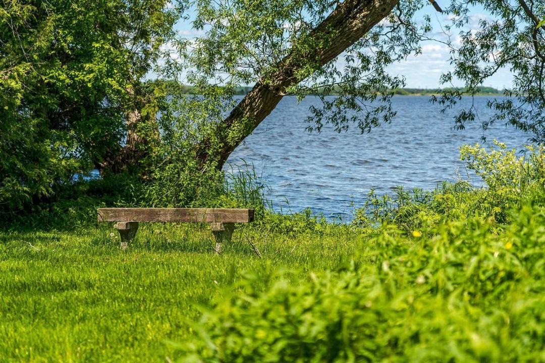 Photo of Others in Greater Napanee