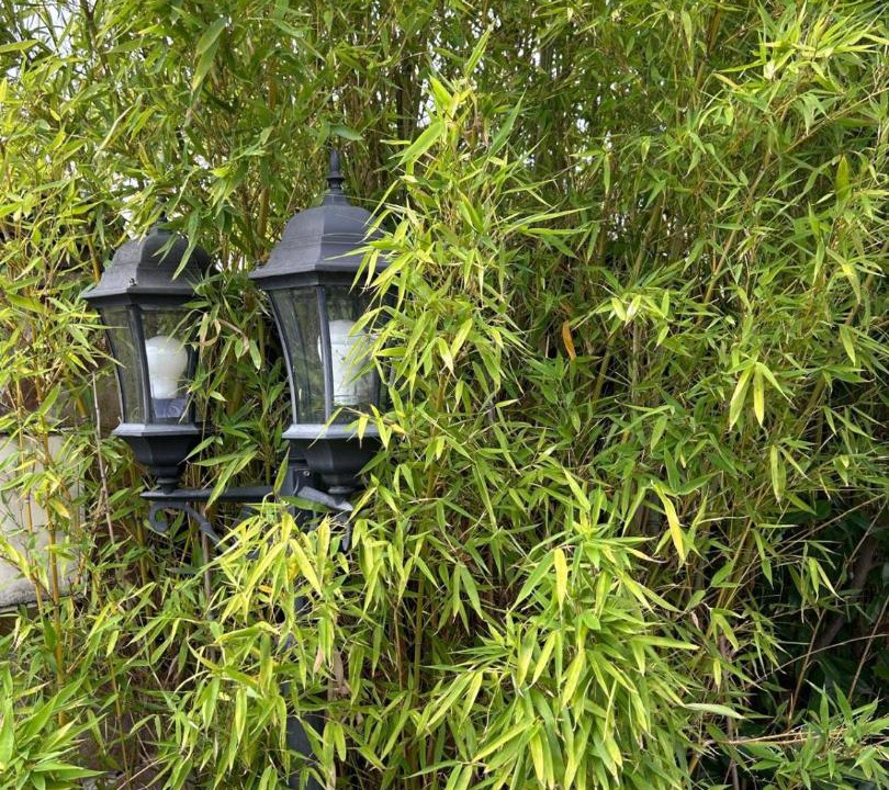 Photo of Outdoor in La Courneuve