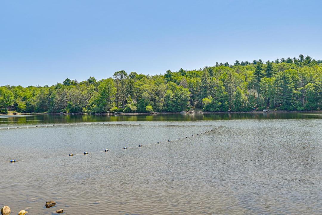 Photo of Others in Tolland
