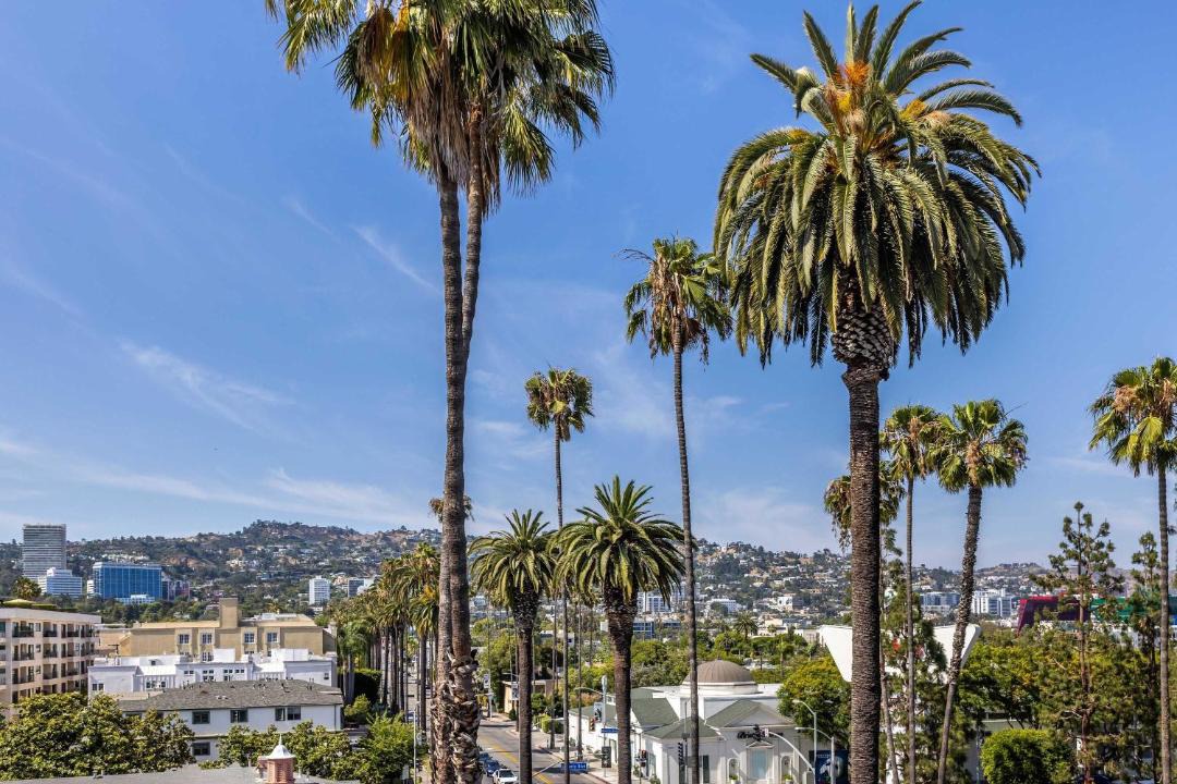 Photo of Others in Beverly Grove