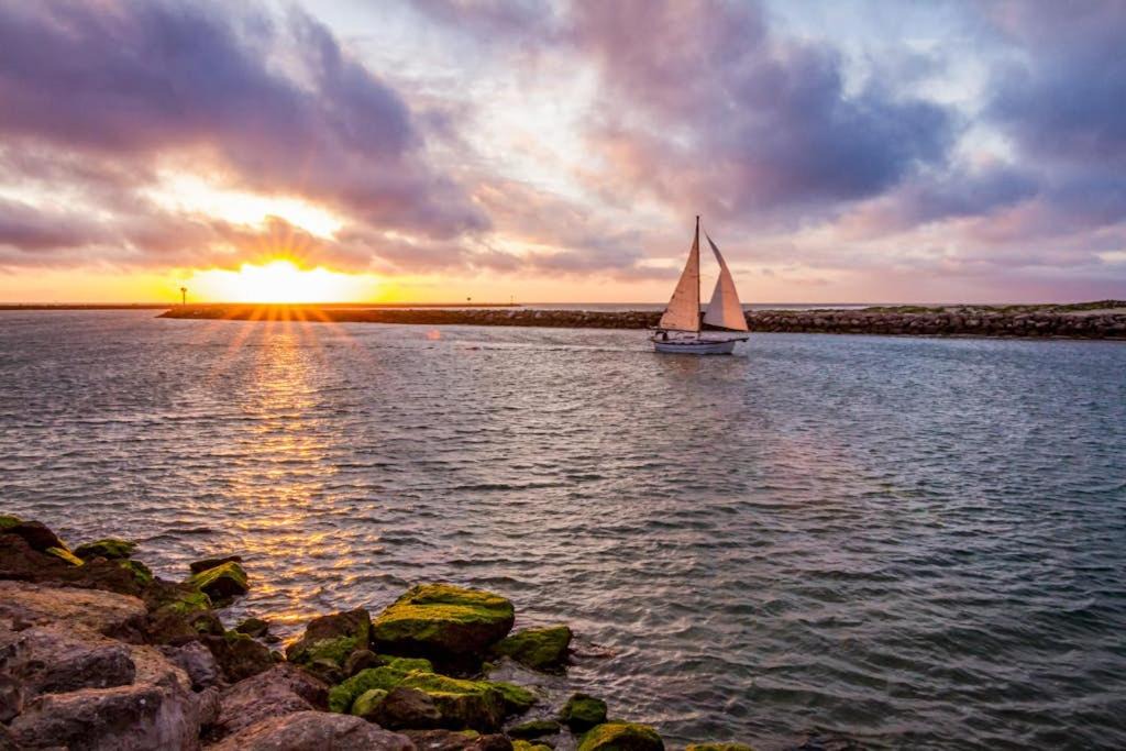 Photo of Others in Channel Islands