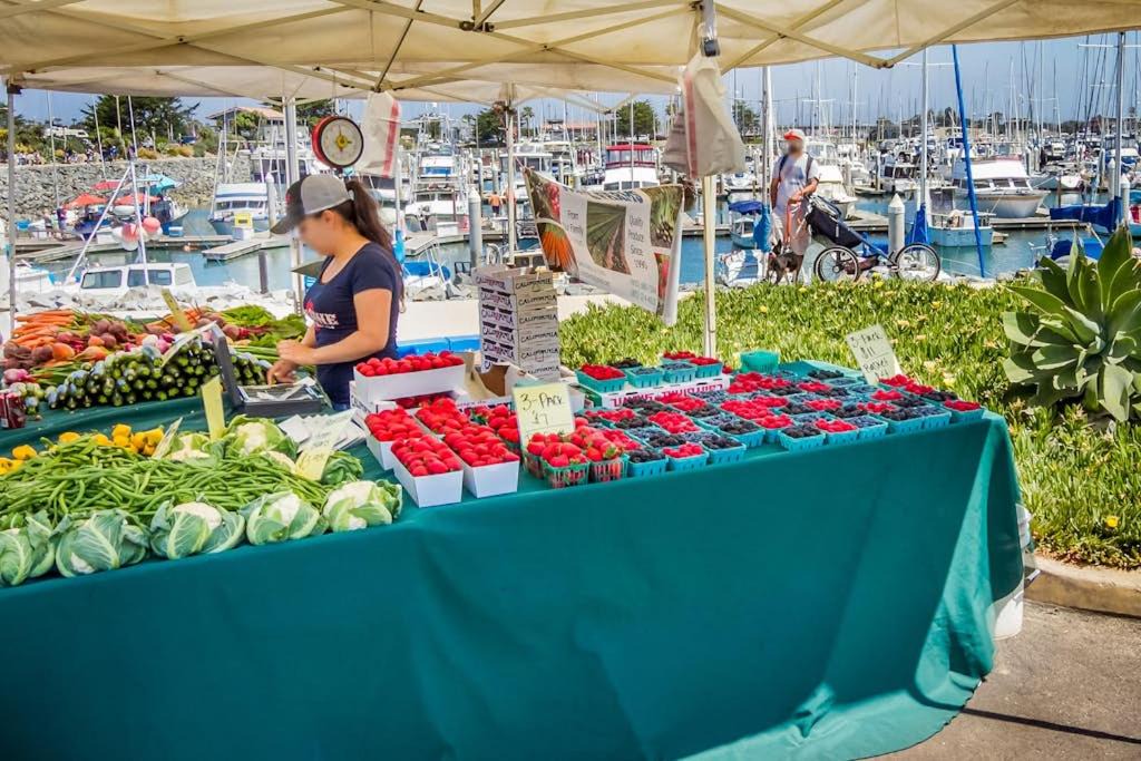 Photo of Others in Channel Islands