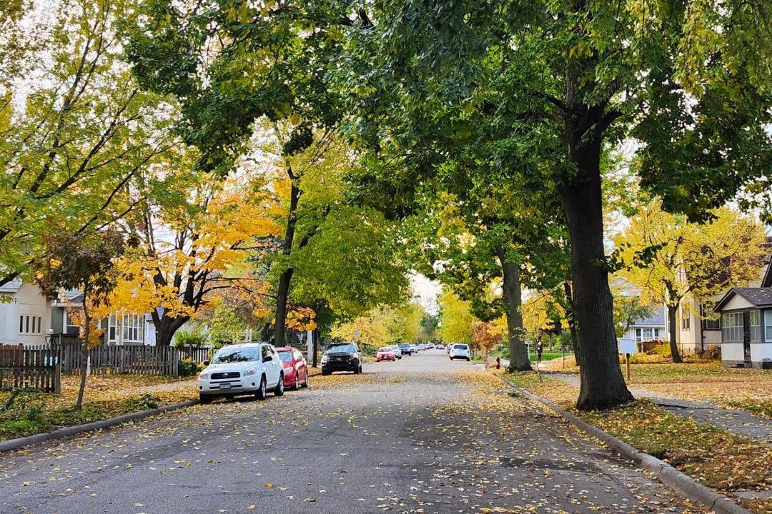 Photo of Others in Powderhorn
