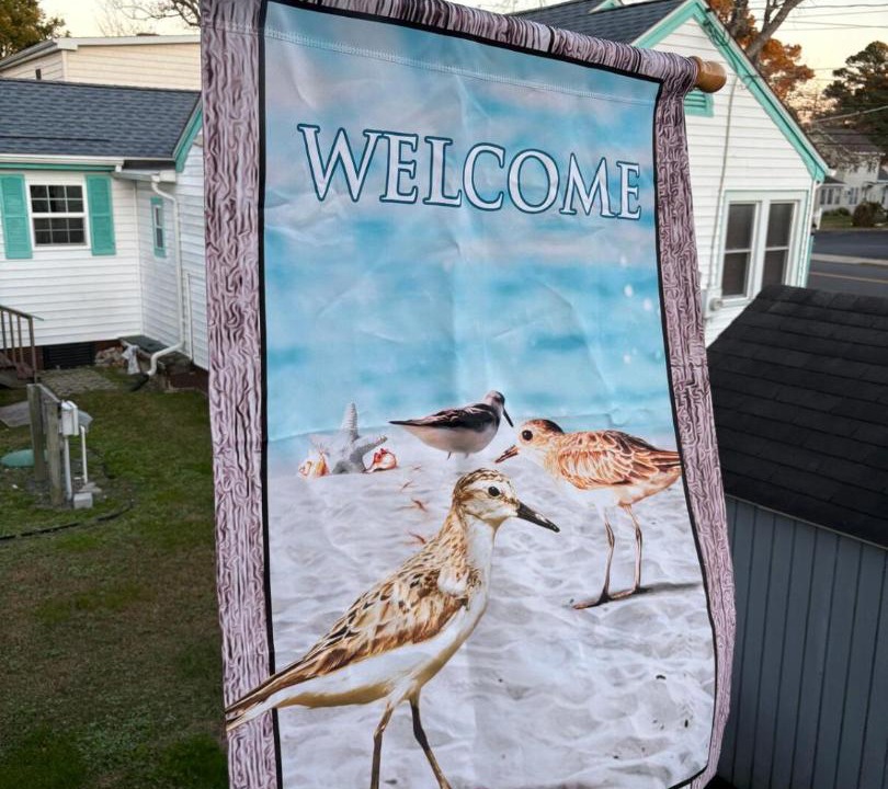 Photo of Others in Chincoteague