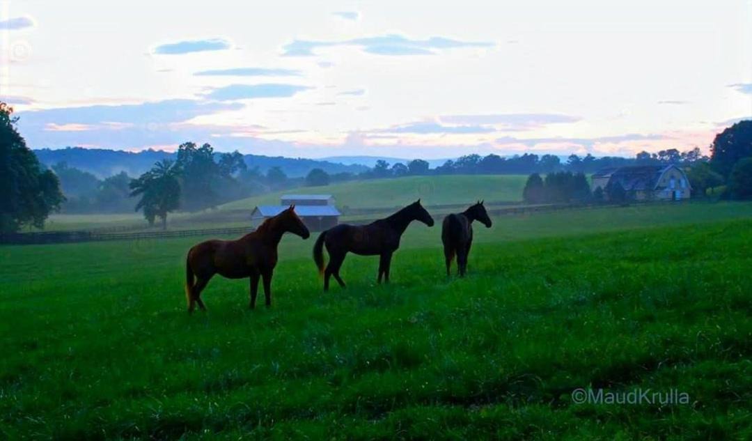 Photo of Others in Philomont
