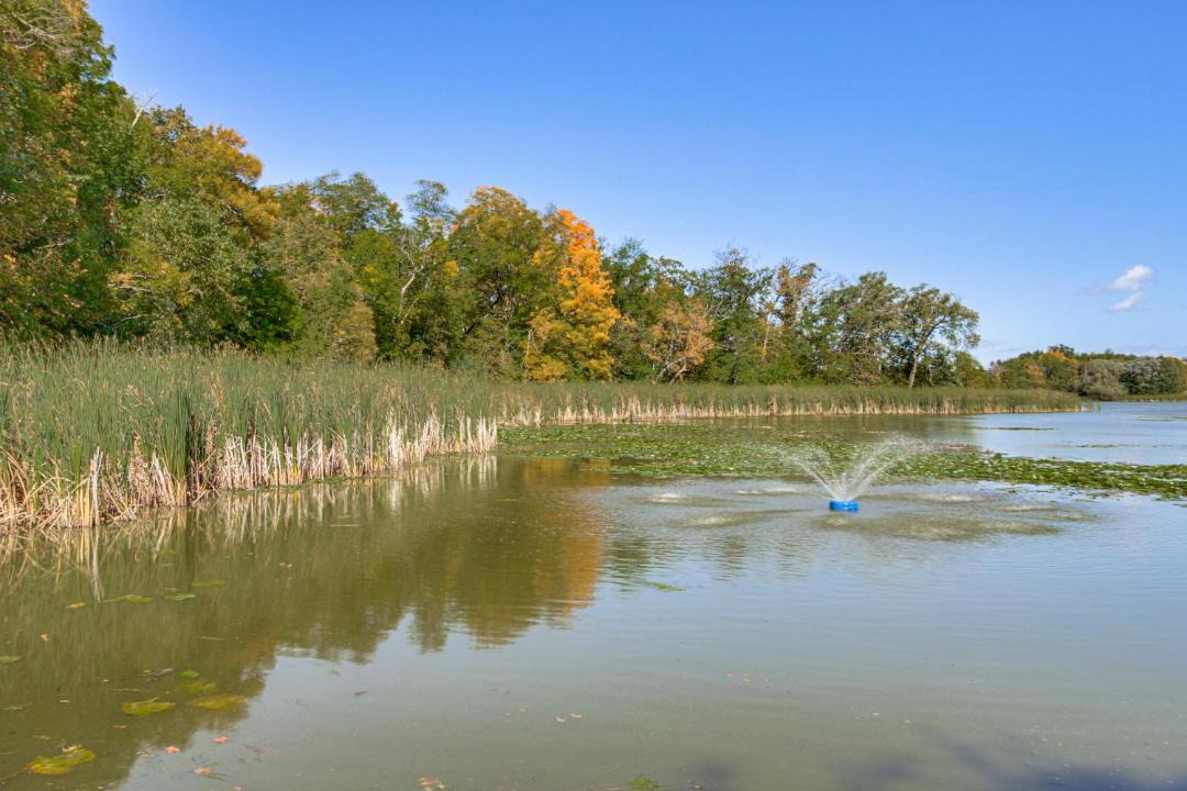 Photo of Others in Parkers Prairie