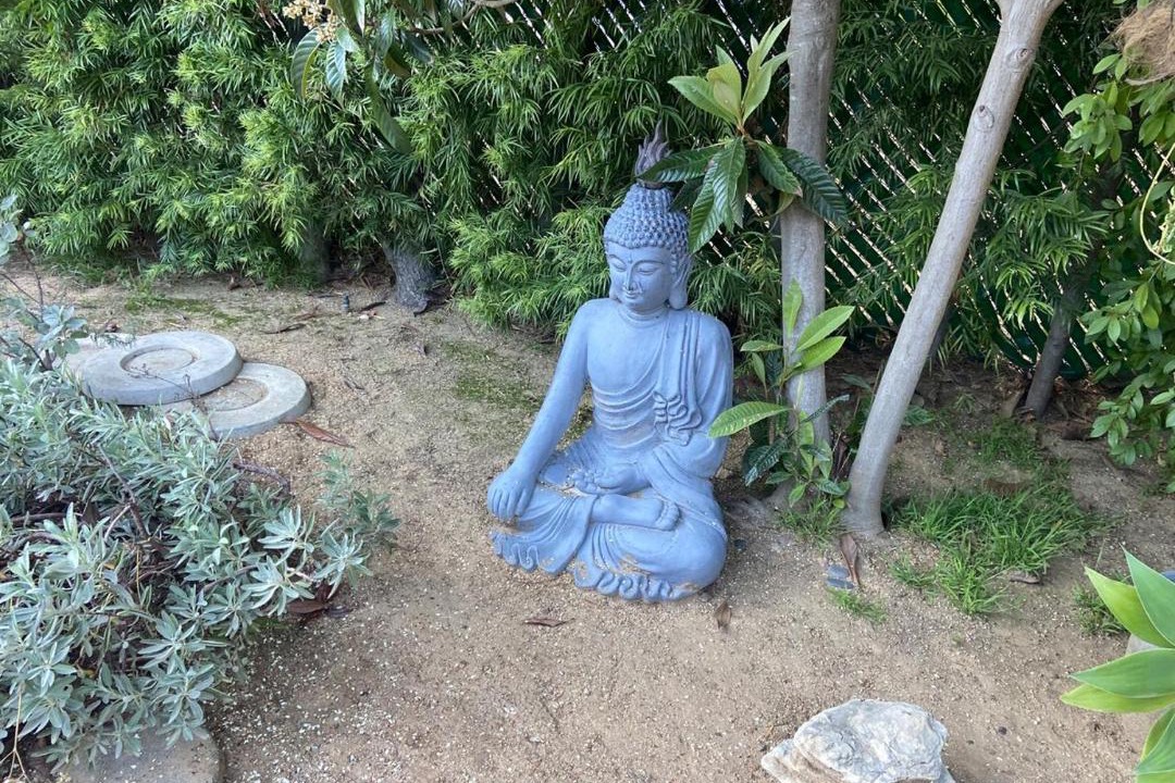 Photo of Others in Hollywood Hills West