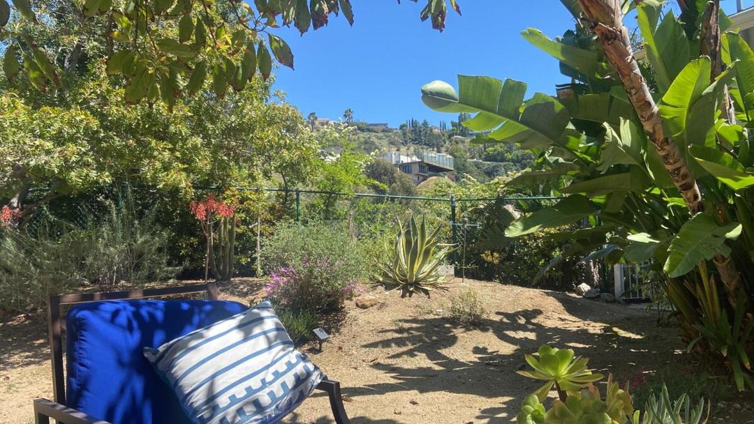 Photo of Others in Hollywood Hills West