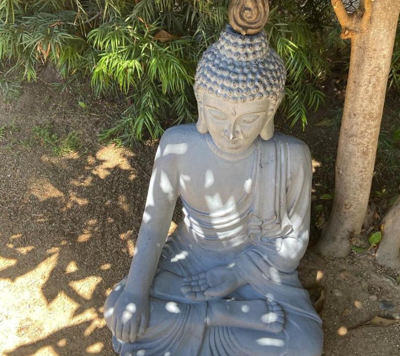 Photo of Others in Hollywood Hills West