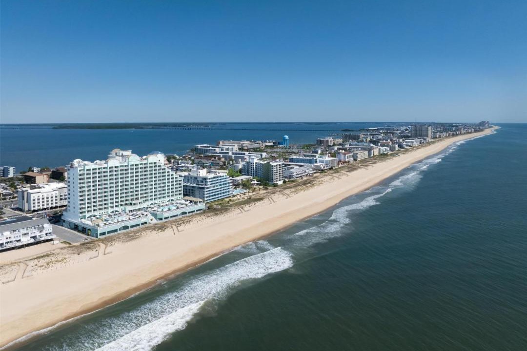 Photo of Others in Midtown Ocean City