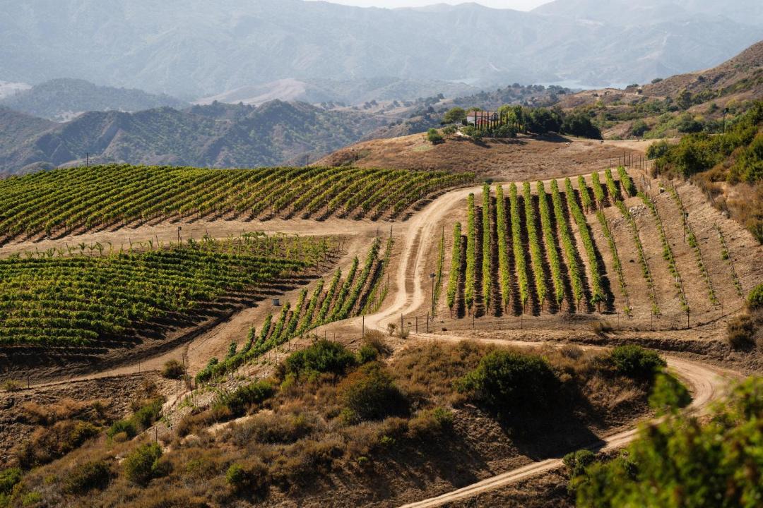 Photo of Others in Ojai