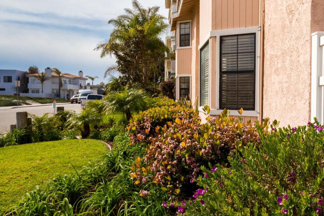 Photo of Others in Oxnard Shores