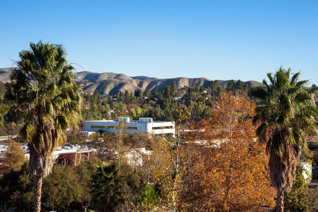 Photo of Others in Agoura Hills