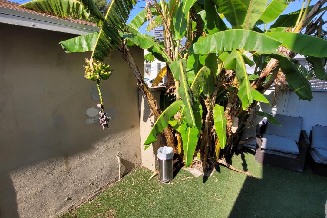 Photo of Others in Pico - Robertson