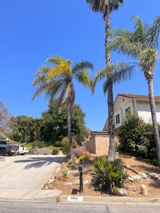 Photo of Others in Walnut