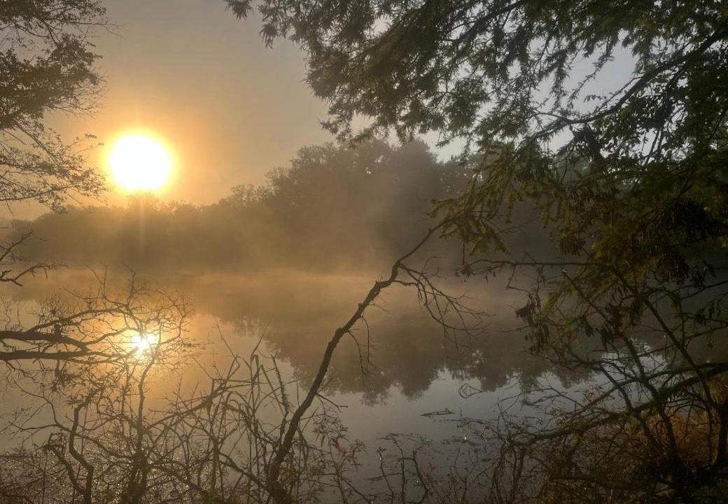 Photo of Others in Iberia Parish