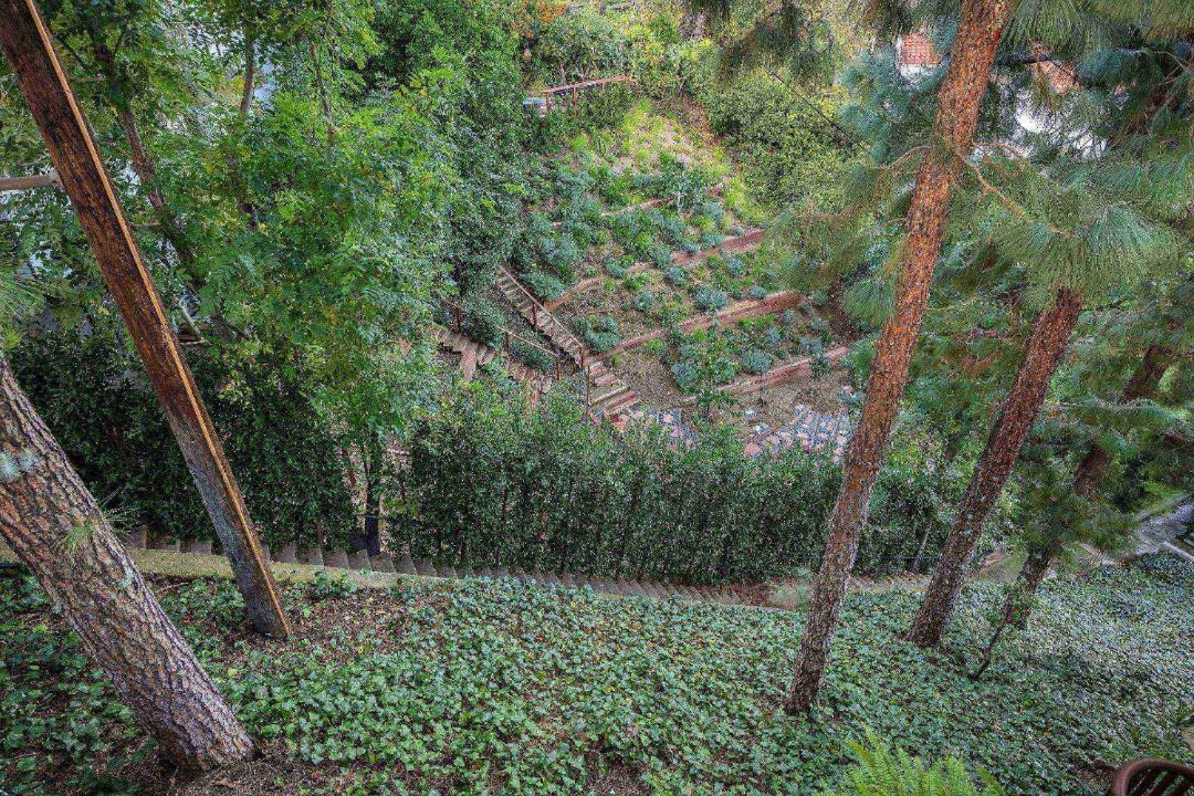 Photo of Others in Hollywoodland