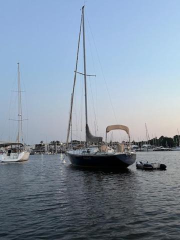 Photo of Others in Annapolis