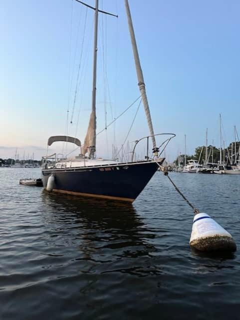 Photo of Others in Annapolis
