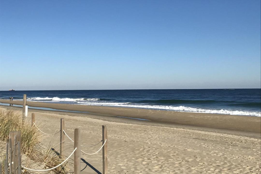 Photo of Others in North Ocean City