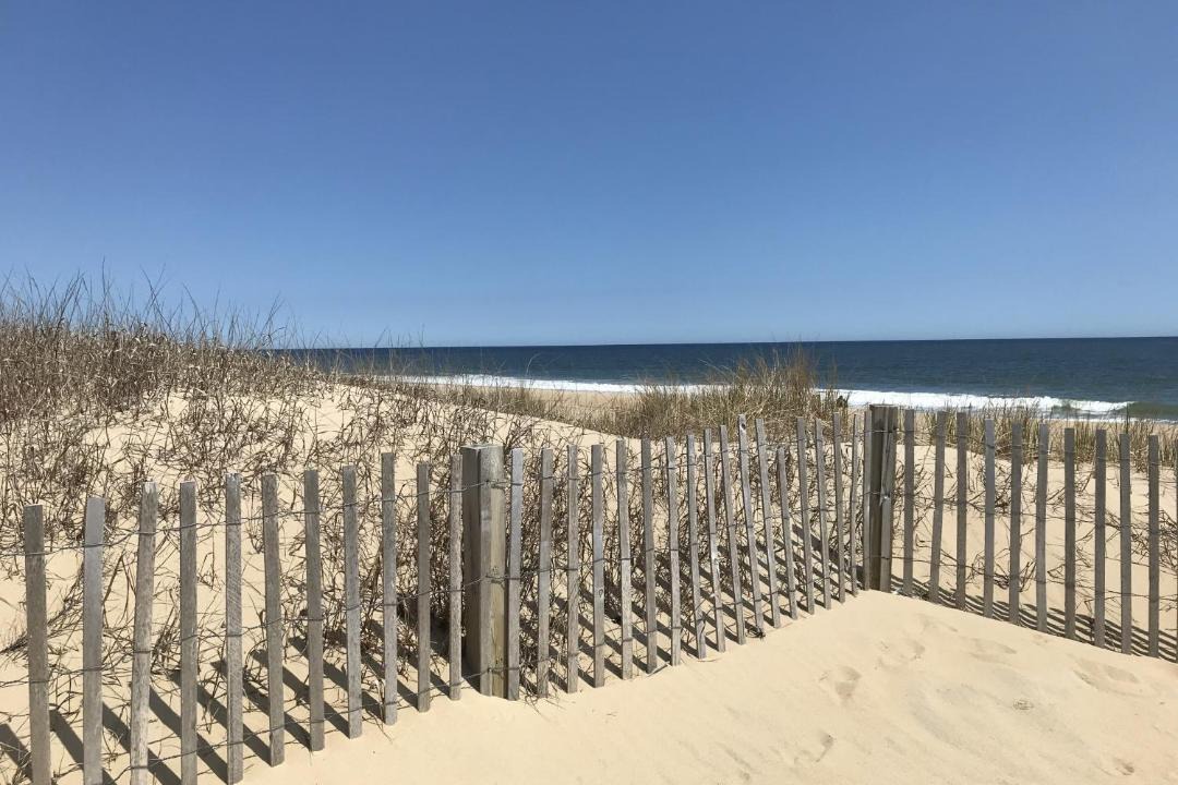 Photo of Others in North Ocean City